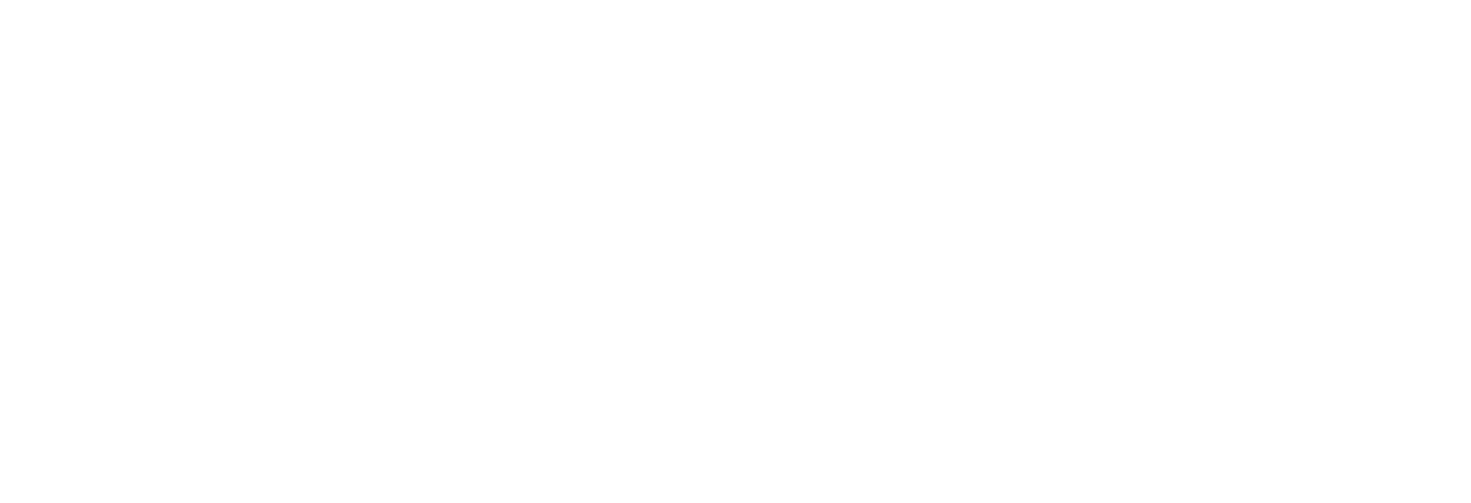Rattenagentur Logo - Webdesign Agentur Überlingen am Bodensee